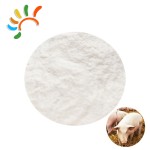 Tributyrin Powder Factory - Tallow Supplement Animal Extract