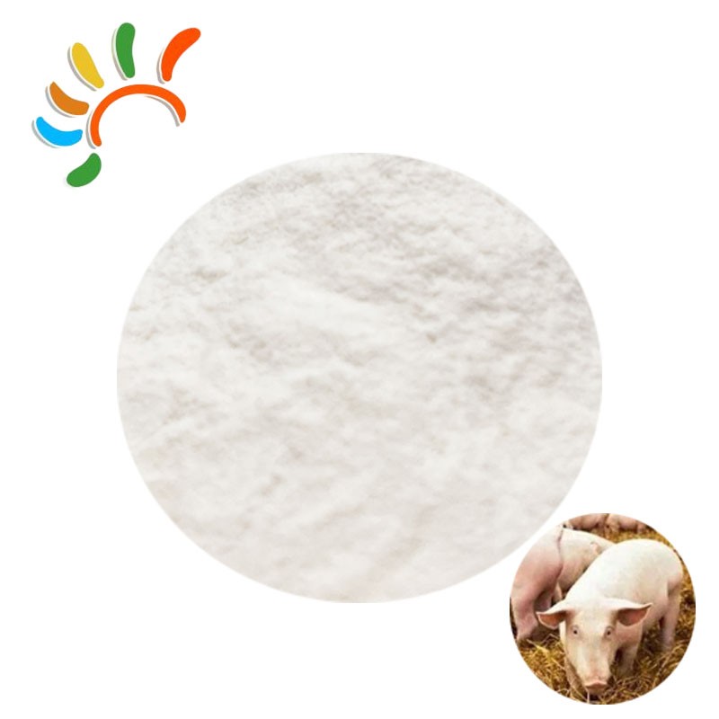 Tributyrin Powder Factory - Tallow Supplement Animal Extract
