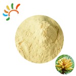 Pine Pollen Powder Manufacturer - Food Grade Herbal Extract