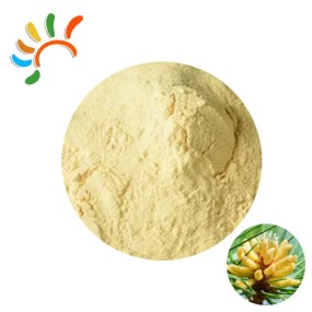 Pine Pollen Powder Manufacturer - Food Grade Herbal Extract