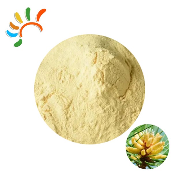Pine Pollen Powder Manufacturer - Food Grade Herbal Extract