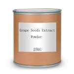 Grape Seed Extract Supplier - Premium Plant Extract Bulk