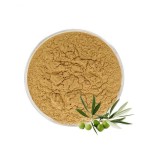 Olive Leaf Extract Supplier - Natural Powder Drum Packaging