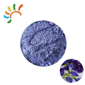 Butterfly Pea Powder Manufacturer - Food Grade Herbal Extract