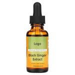 Black Ginger Powder Factory - High Gingerols Antioxidant