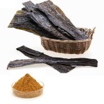 Kelp Extract Manufacturer - Natural Seaweed Food Health
