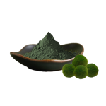 Chlorella Powder Factory - Food Grade Herbal Extract