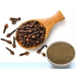 Clove Powder Manufacturer - 25kg Industrial Use Bulk