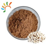 Hyacinth Bean Extract Factory - Lablab Purpureus Plant