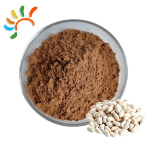 Hyacinth Bean Extract Factory - Lablab Purpureus Plant