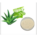 Aloe Extract Powder Factory - 100:1 200:1 Concentrated