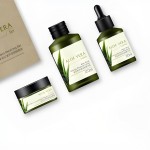 Aloe Vera Powder Factory - Cosmetic Nutrition Extract