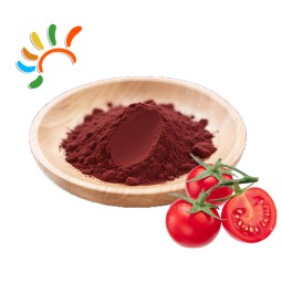Lycopene Powder Supplier - 20% Natural Tomato Extract