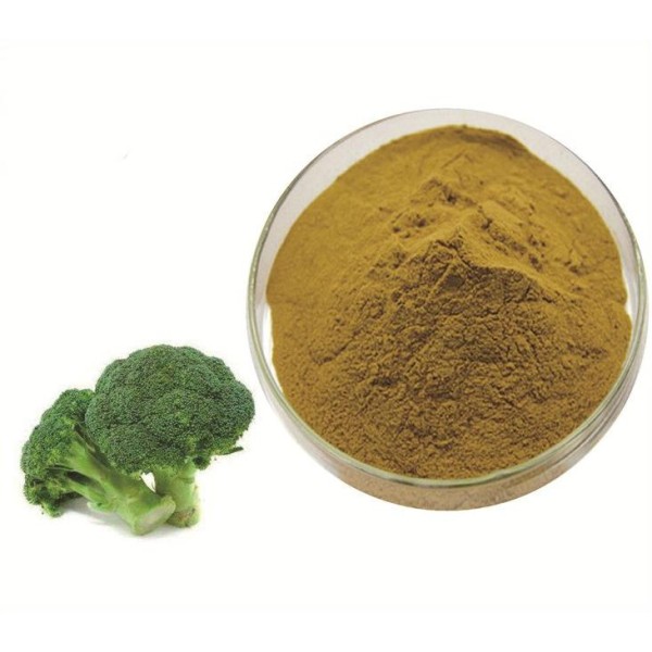 Sulforaphane Powder Supplier - Broccoli Seed Extract
