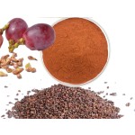 Grape Seed Extract Factory - 95% OPC Polyphenol Bulk