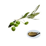 Olive Leaf Extract Supplier - Natural Powder Drum Packaging
