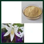 Lily Extract Factory - Natural Bulb Botanical Industrial