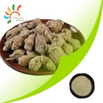 Maca Root Powder Manufacturer - Black Maca Extract Sample