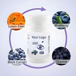 Black Currant Extract Manufacturer - 25% Anthocyanins Organic