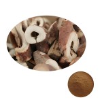 Peony Bark Extract Manufacturer - 10:1 50:1 Hot Sale