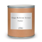 Chaga Mushroom Powder Factory - Food Grade Herbal Extract