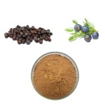 Juniper Extract Manufacturer - Communis Powder Plant