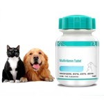 Folic Acid Powder Manufacturer - 98% Vitamin B9 25kg Bag