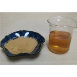 Angelica Extract Supplier - Bai Zhi Root Plant Extract