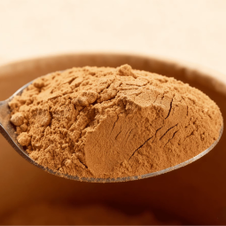 Galangal Powder Manufacturer - Halal Certified Fruit Extract