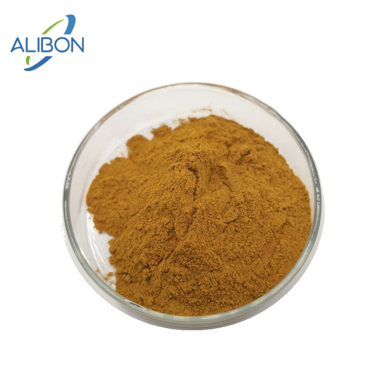 Bulk Lotus Leaf Extract 5% Flovonoid Powder