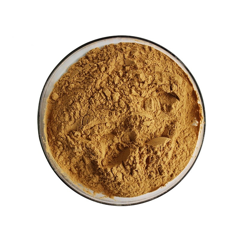 Wholesale Price Top Quality Rosmarinic Acid