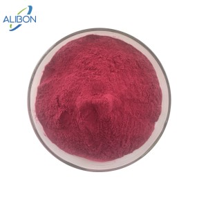 Wholesale  Cranberry Juice Powder 100% Pure Cranberry Powder