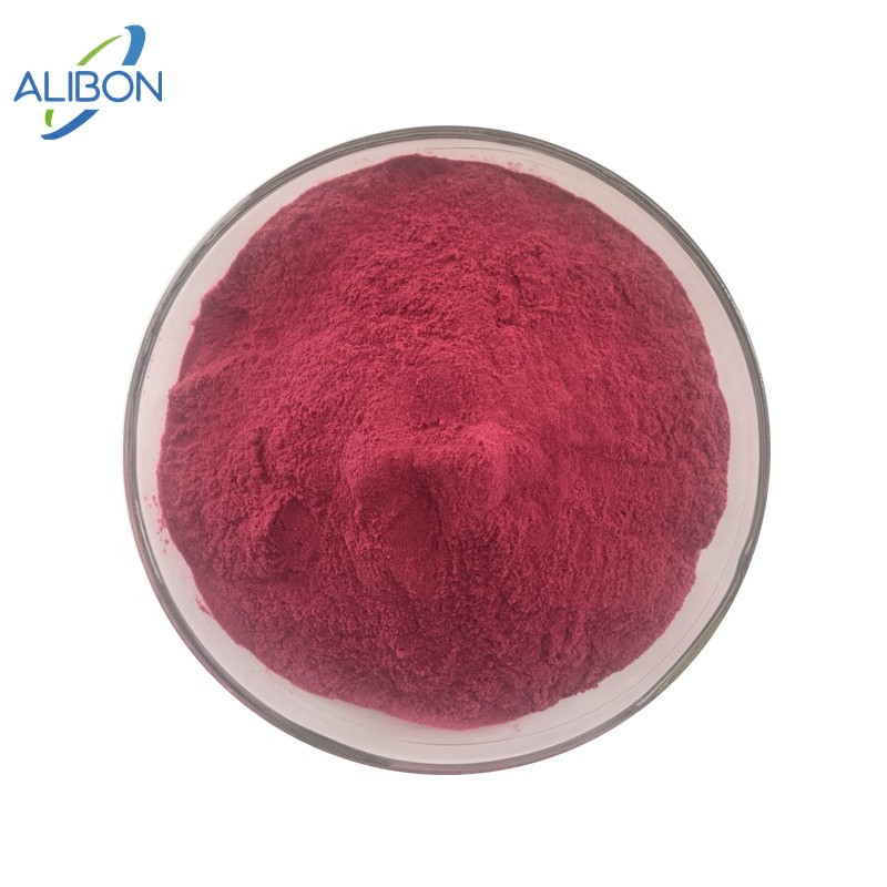 Wholesale  Cranberry Juice Powder 100% Pure Cranberry Powder
