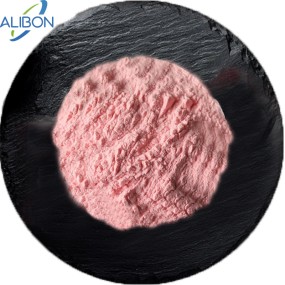 Guava Juice Powder High Quality Red Guava Fruit Juice Powder