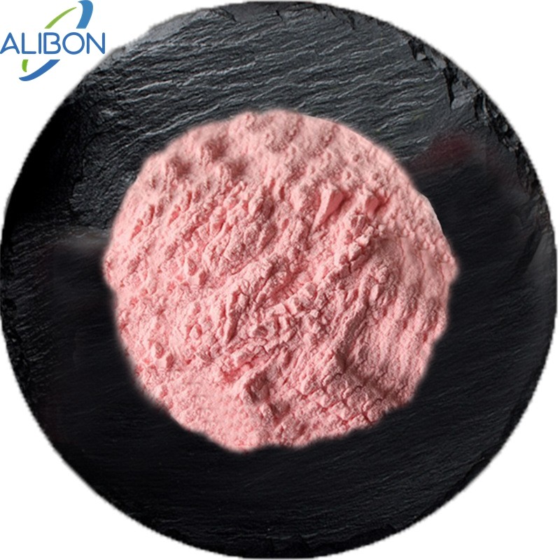 Guava Juice Powder High Quality Red Guava Fruit Juice Powder