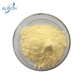 Orange Juice Powder Orange Fruit Powder with Best Quality