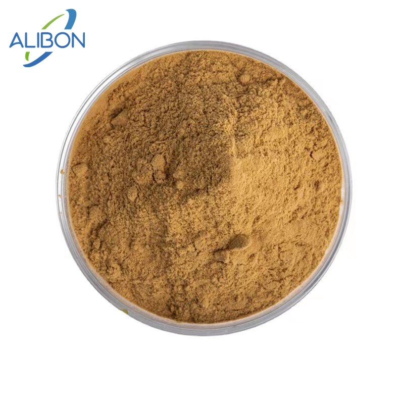 High Quality Free Sample Ziziphus Jujuba Extract Jujube Extract
