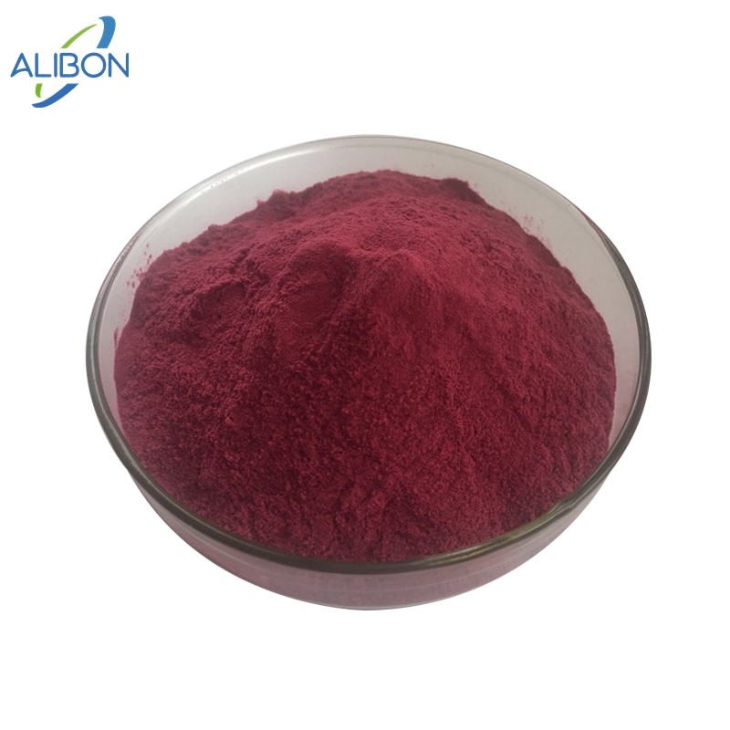 Hot Selling Blueberry Extract Blueberry Fruit Powder