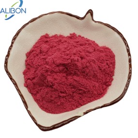 Factory Supply Raspberry Juice Powder with Best Price