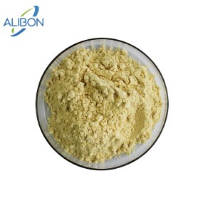 Natural Plant Extract Ginseng Extract Powder