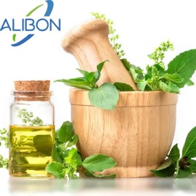 Factory Supply Best Selling Basil Oil Basil Essential Oil