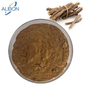 High Quality Angelica Sinensis Extract Wholesale Angelica Extract
