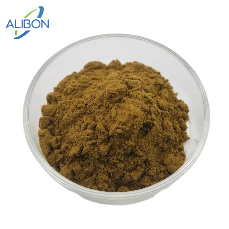 2024 Best Selling Cinnamon Extract Cinnamon Extract Powder