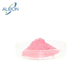 High Quality Acerola Juice Powder Acerola Fruit Powder