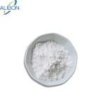 High Quality Creatine Monohydrate Powder Creatine Monohydrate