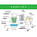 Factory Supply Wholesale Organic Plant Extract Evening Primrose Oil