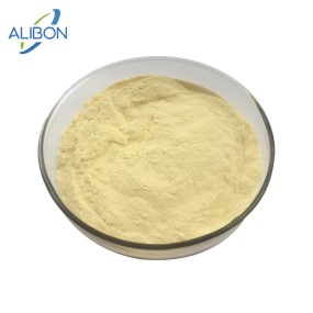 Pineapple Juice Powder Warehouse Bulk Natural Pineapple Fruit Powder