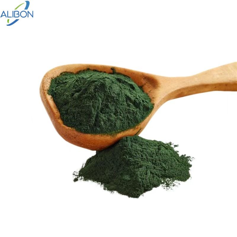 Top Quality Chlorella Powder Wholesale Bulk Food Grade Chlorella