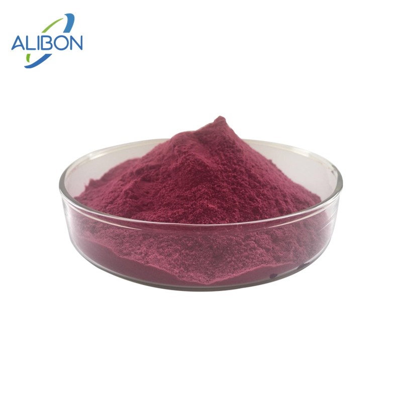 Best Price Blackcurrant Fruit Powder Blackcurrant Juice Powder