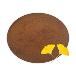 Ginkgo Biloba Extract Manufacturer - Natural Supplement Capsule Ingredient